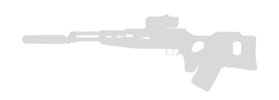 Scout Rifle